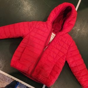 2T winter coat